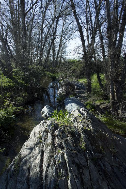 Ecologica Huerta Del Pirata Fuente de Cantos