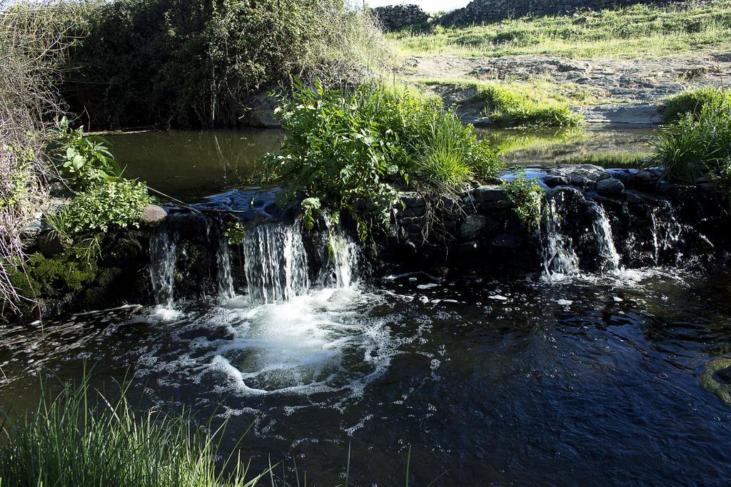 Ecologica Huerta Del Pirata Fuente de Cantos