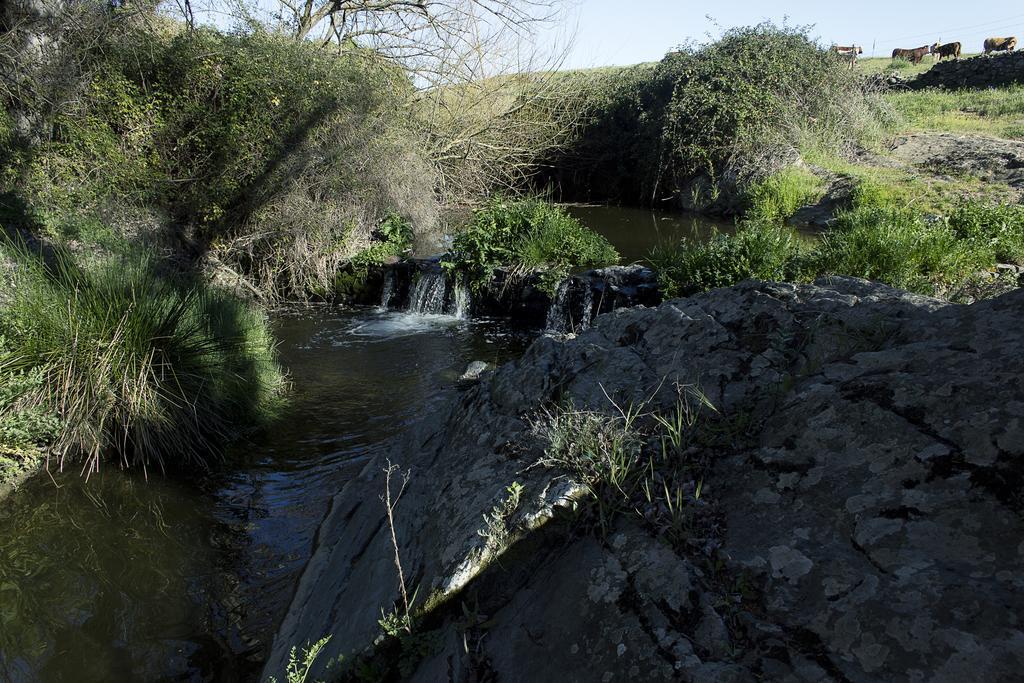 Ecologica Huerta Del Pirata *